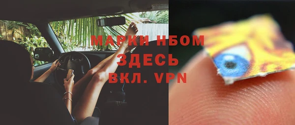 эйфоретик Алзамай