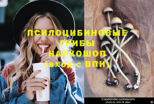 бошки Абдулино