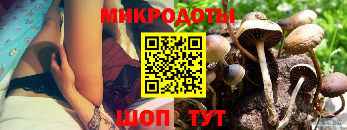Псилоцибиновые грибы Psilocybine cubensis Гусь-Хрустальный