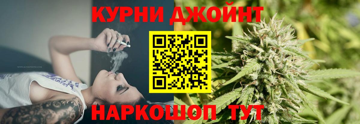Бошки Шишки ГИДРОПОН Гусь-Хрустальный